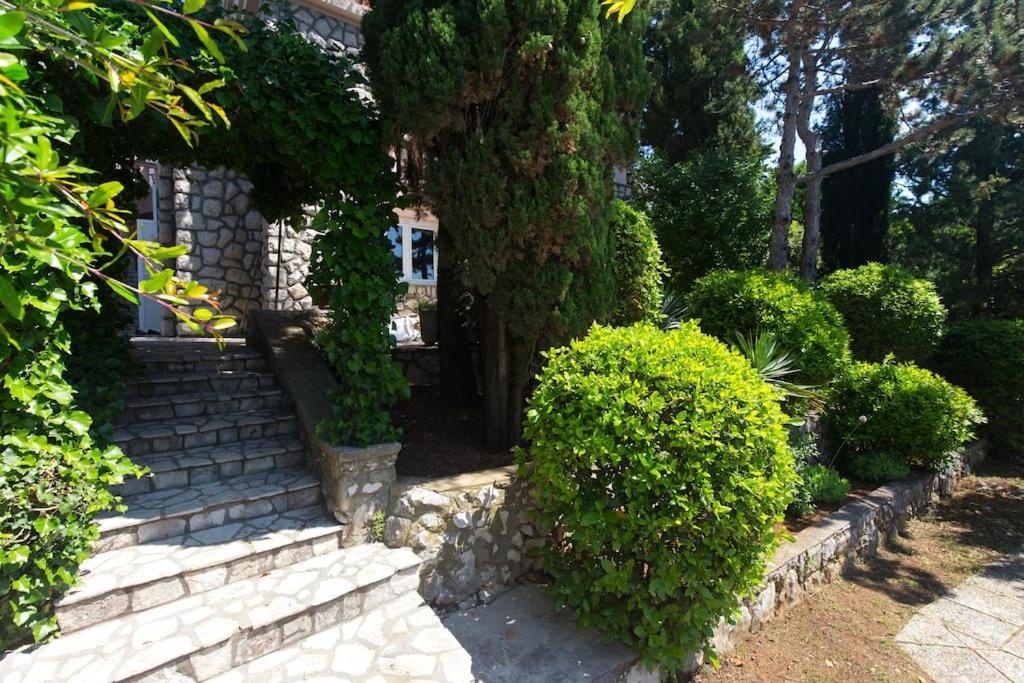 נובי ווינודולסקי Villa Stefi מראה חיצוני תמונה